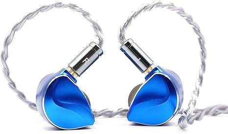 a. Wired In-Ear Headphones